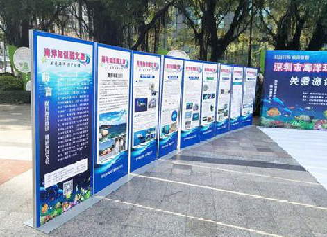 景东KT板的种类和知识。